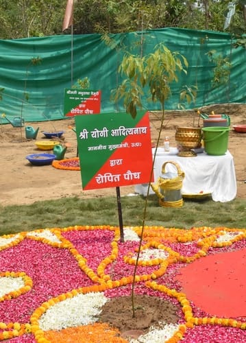 विश्व पर्यावरण दिवस के मौके पर शुक्रवार को मुख्यमंत्री योगी आदित्यनाथ ने कुकरैल रेंज अवध वन प्र विश्व पर्यावरण दिवस के मौके पर शुक्रवार को मुख्यमंत्री योगी आदित्यनाथ ने कुकरैल रेंज अवध वन प्र