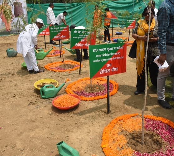 विश्व पर्यावरण दिवस के मौके पर शुक्रवार को मुख्यमंत्री योगी आदित्यनाथ ने कुकरैल रेंज अवध वन प्र विश्व पर्यावरण दिवस के मौके पर शुक्रवार को मुख्यमंत्री योगी आदित्यनाथ ने कुकरैल रेंज अवध वन प्र