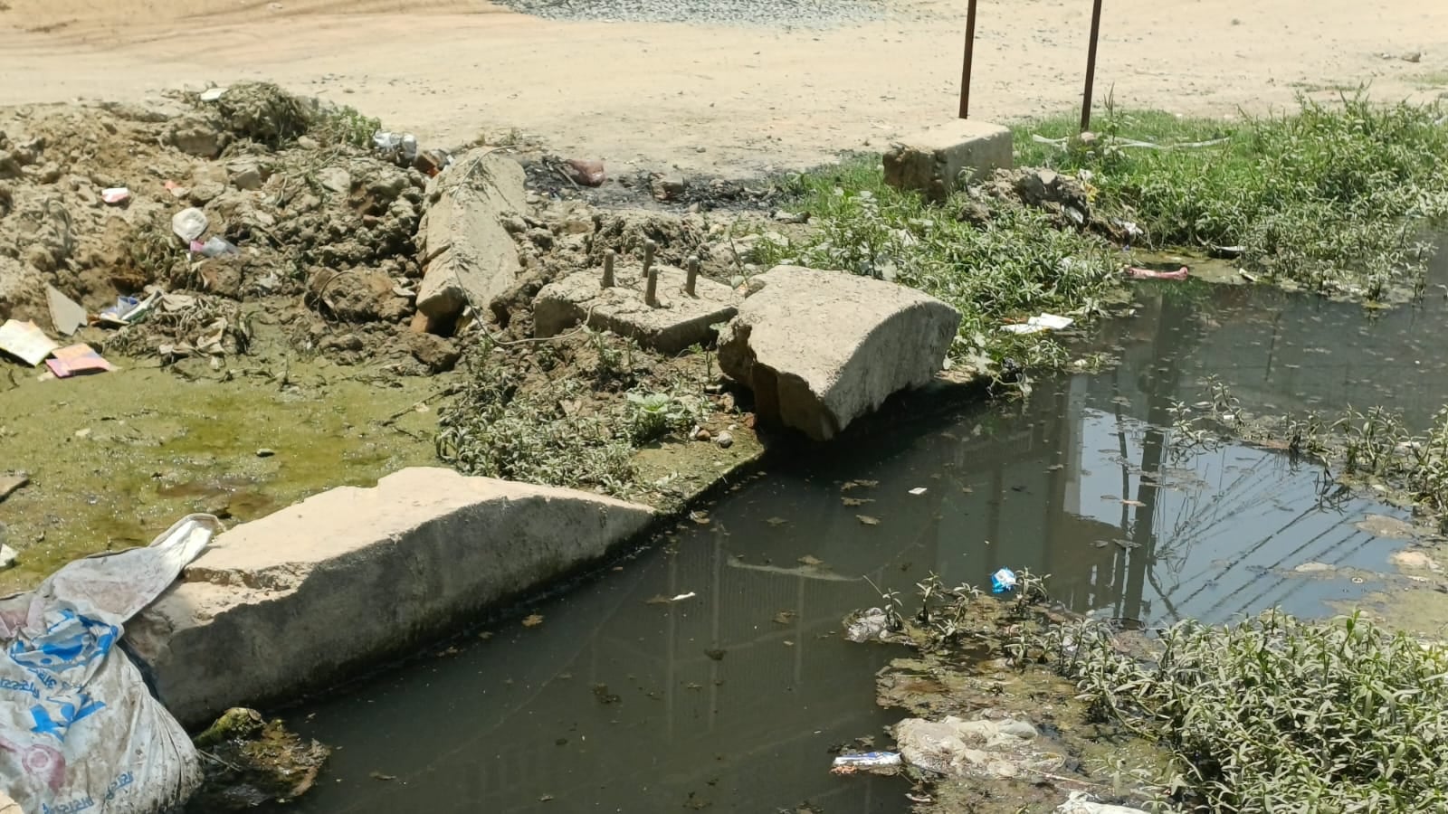 फोटो -17- खाली पडे़ प्लाट में गंदगी। संवाद फोटो -17- खाली पडे़ प्लाट में गंदगी। संवाद