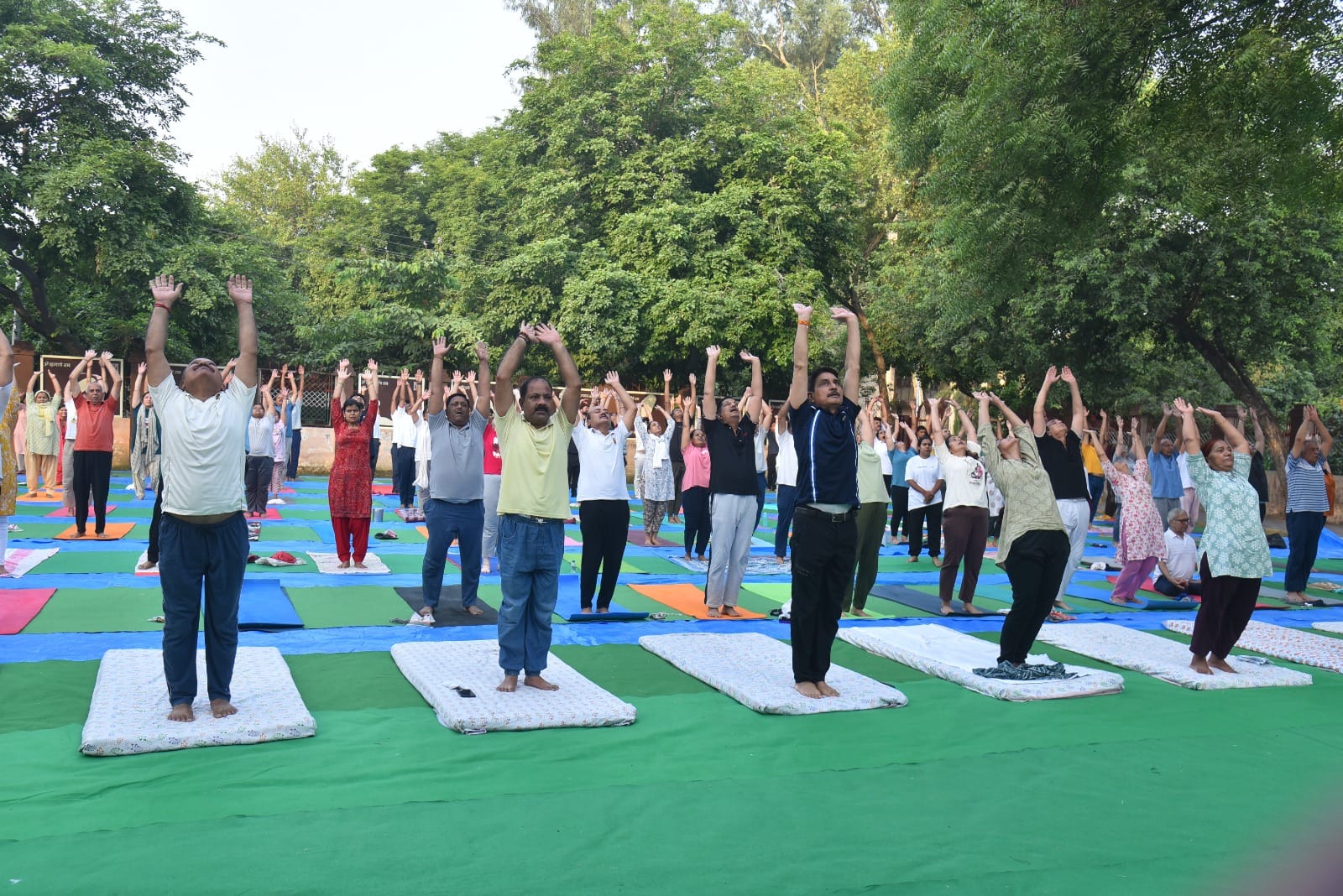 सीसीएसयू में चल रहे योग शिविर में योग करते साधक। स्रोत : संस्थान।