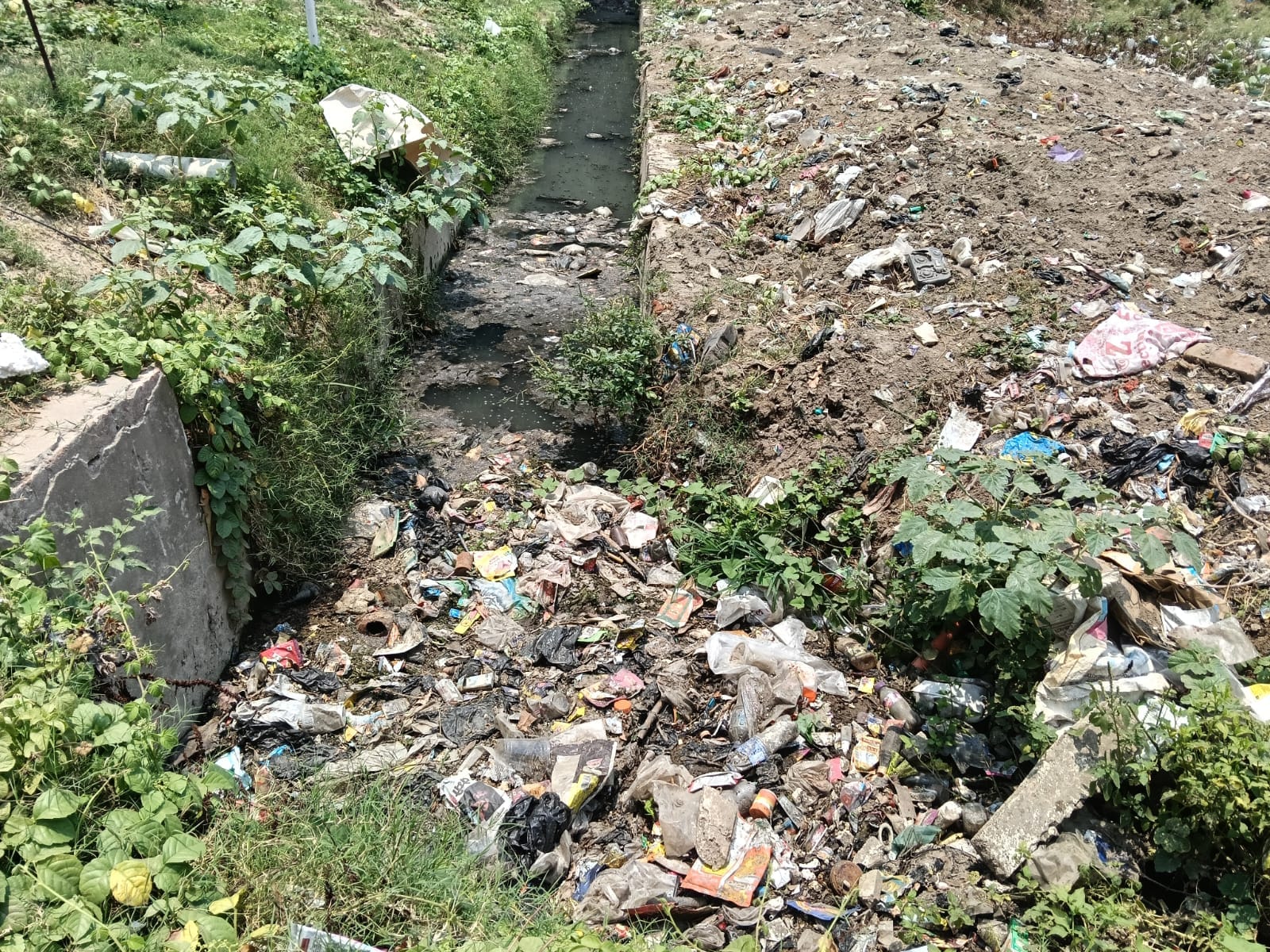 सिविल लाइन मोहल्ले में कूड़े से पटा पड़ा नाला। सिविल लाइन मोहल्ले में कूड़े से पटा पड़ा नाला।
