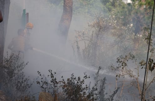 धर्मशाला के डंपिंग साइट के पास जंगल में लगी आग पर काबू पाते अग्निशमन के कर्मी। अमर उजाला