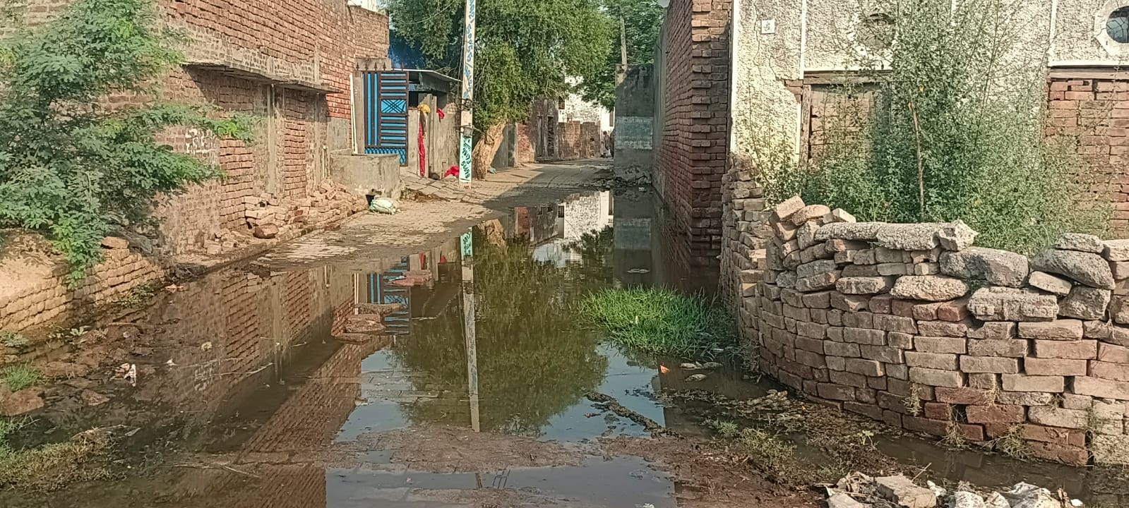 फरियाबाद गांव की गली में लंबे समय से भरा गंदा पानी फरियाबाद गांव की गली में लंबे समय से भरा गंदा पानी