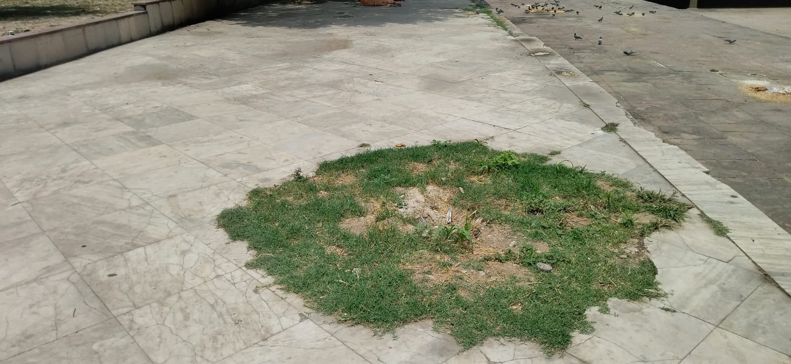कुरुक्षेत्र। सन्निहित सरोवर पर टूटे पत्थर। संवाद