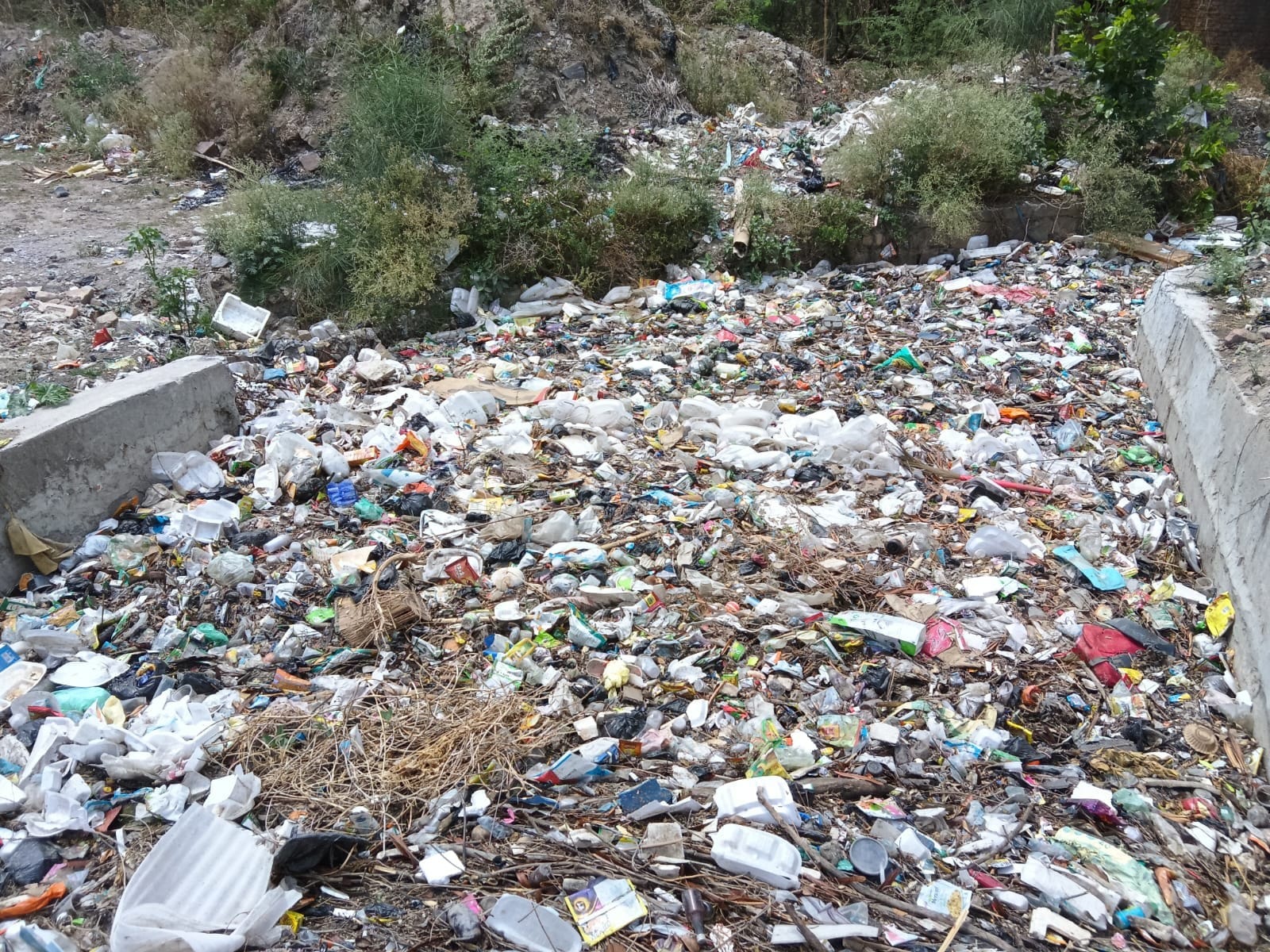 सभासद योगेंद्र योगी। संवाद