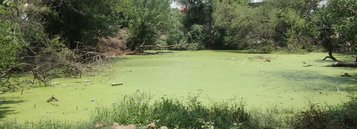फोटो संख्या:-51 धनपत---संवाद फोटो संख्या:-51 धनपत---संवाद