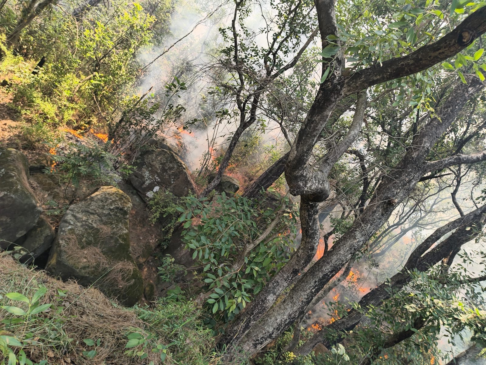 जल ग्रां में जल शक्ति विभाग के कार्यालय के समीप लगी आग को बुझाते हुए कर्मचारी। स्रोत जागरूक पाठ जल ग्रां में जल शक्ति विभाग के कार्यालय के समीप लगी आग को बुझाते हुए कर्मचारी। स्रोत जागरूक पाठ