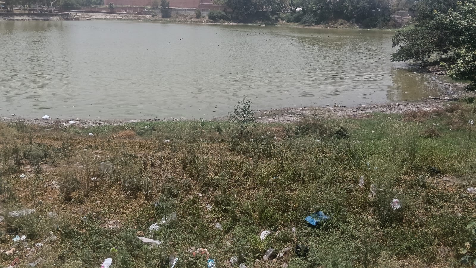 रितेश पिलानी