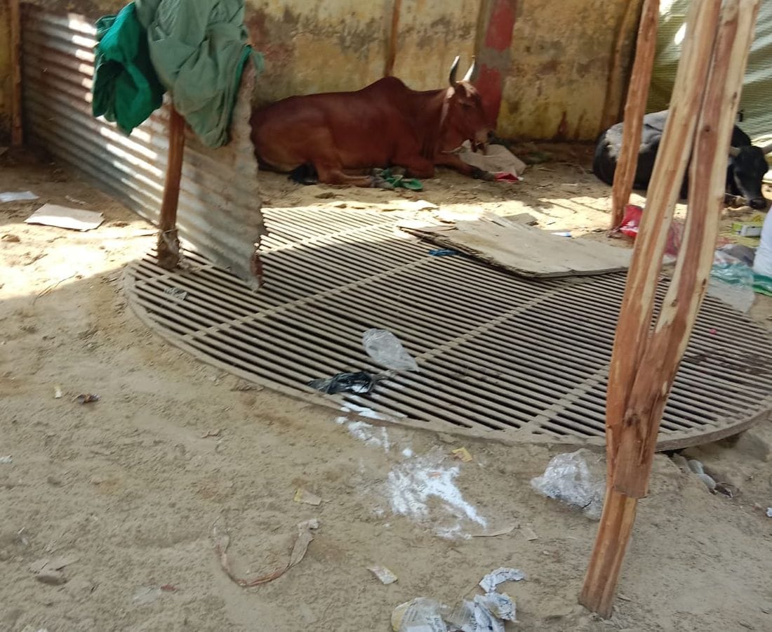 विकास भवन की छत पर पड़ा कूड़ा। संवाद