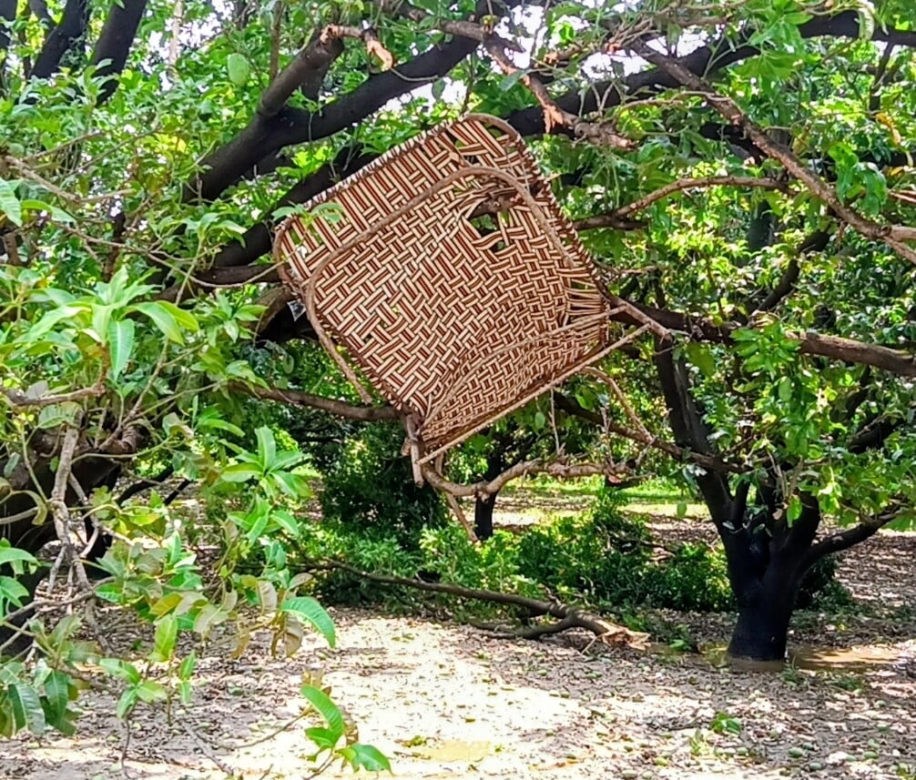 गांव ततीना में तूफान की चपेट में आकर धनपुर तोफापुर मार्ग पर टूटकर गिरे पडे पेड। (मवाना) गांव ततीना में तूफान की चपेट में आकर धनपुर तोफापुर मार्ग पर टूटकर गिरे पडे पेड। (मवाना)