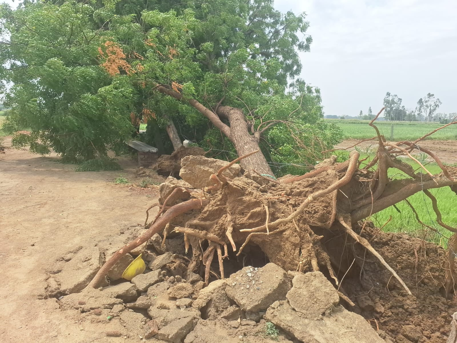 मिरहची क्षेत्र में तेज आंधी से उखड़ी टिन शेड। संवाद