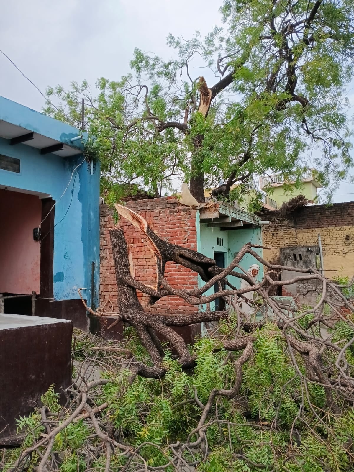 अतरौली में आंधी-बारिश से गिरे पेड़ व बिजली के खंभे। संवाद 