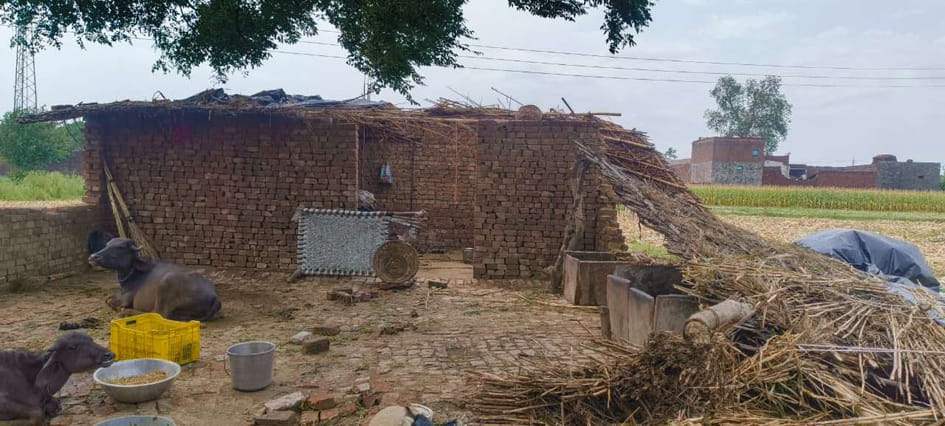 छर्रा में आंधी से गिरे पेड़ व मकान। संवाद 