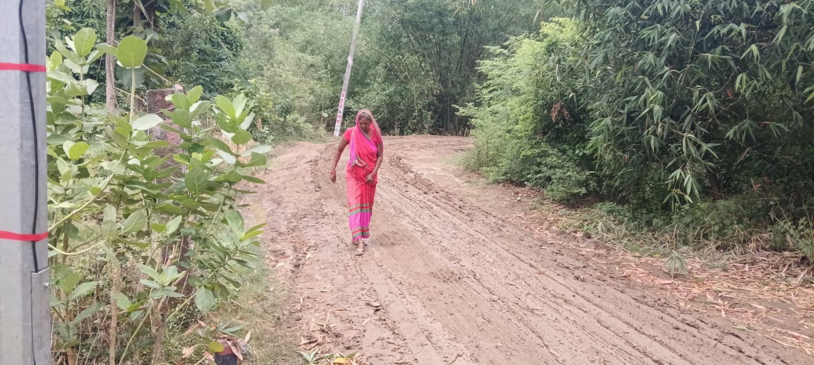 जखनिया में पेड़ की डाल गिरने से क्षतिग्रस्त टीनशेड। संवाद जखनिया में पेड़ की डाल गिरने से क्षतिग्रस्त टीनशेड। संवाद