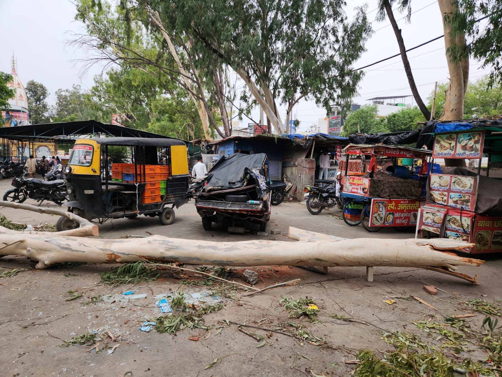 कुरुक्षेत्र। टूटा पेड़ व क्षतिग्रस्त ऑटो। संवाद कुरुक्षेत्र। टूटा पेड़ व क्षतिग्रस्त ऑटो। संवाद