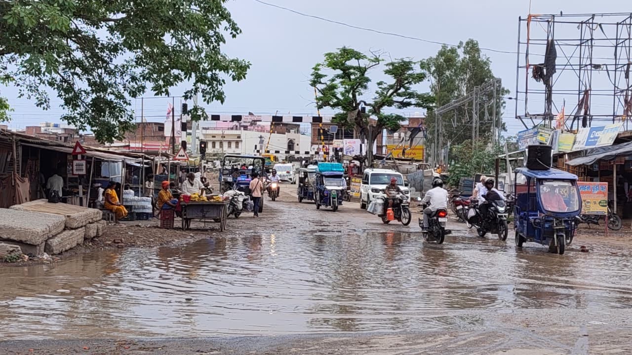 नरही गांव के खमीरपुर मौजा में बारिश के पानी धान नर्सरी लगाते किसान। संवाद नरही गांव के खमीरपुर मौजा में बारिश के पानी धान नर्सरी लगाते किसान। संवाद