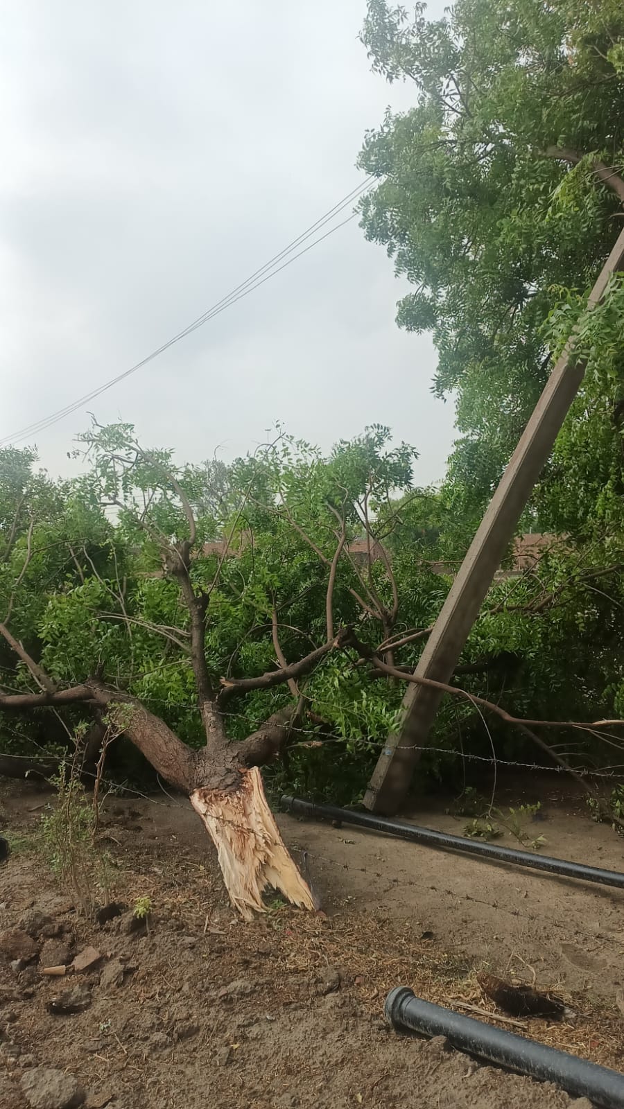 बारिश ने शहर से लेकर ग्रामीण इलाकों तक जनजीवन अस्त-व्यस्त कर दिया। बारिश ने शहर से लेकर ग्रामीण इलाकों तक जनजीवन अस्त-व्यस्त कर दिया।