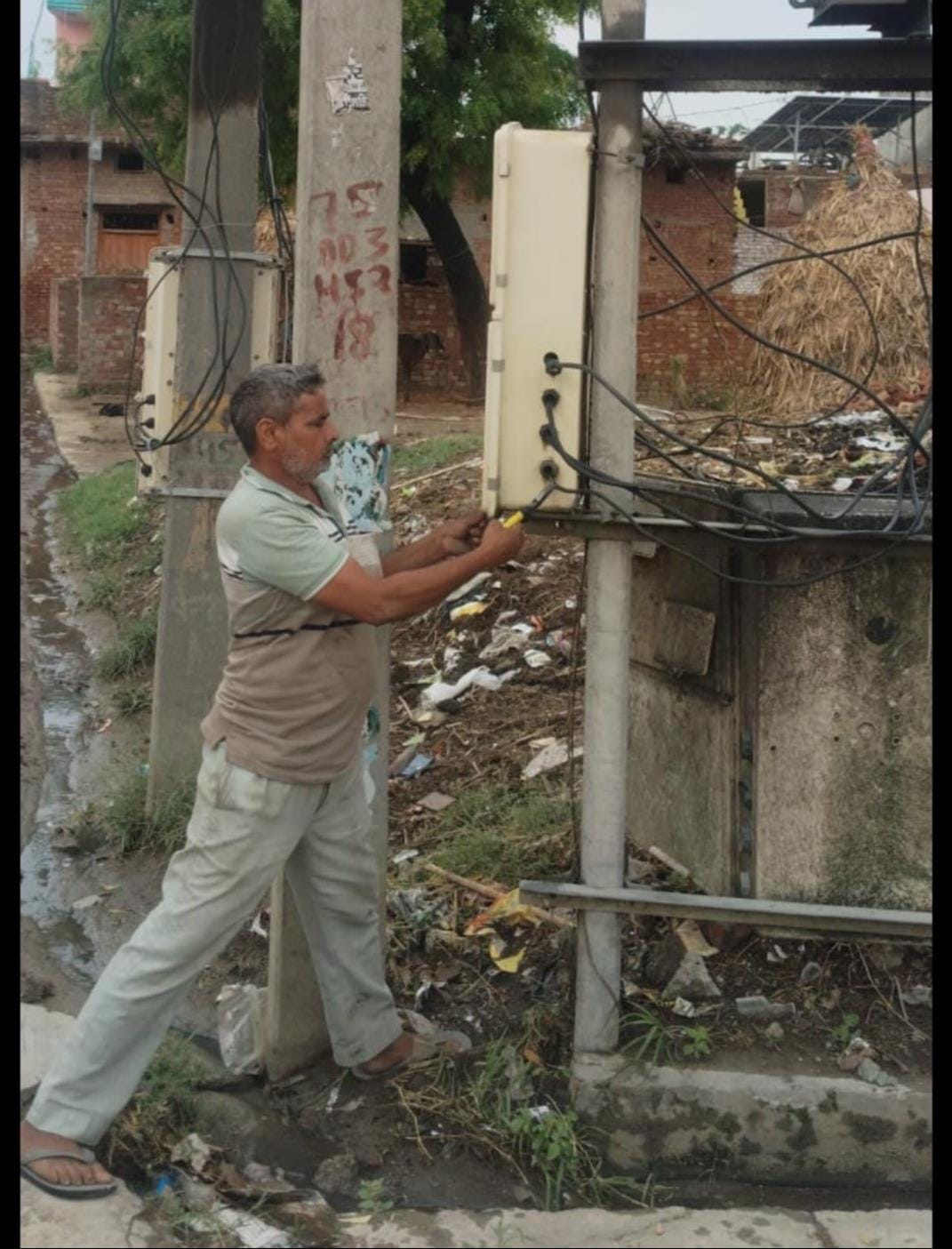जनपद के कुड़ाना मार्ग पर रात्रि में आई तेज आंधी और बारिश के कारण गिरी ज्वार की फसल। संवाद