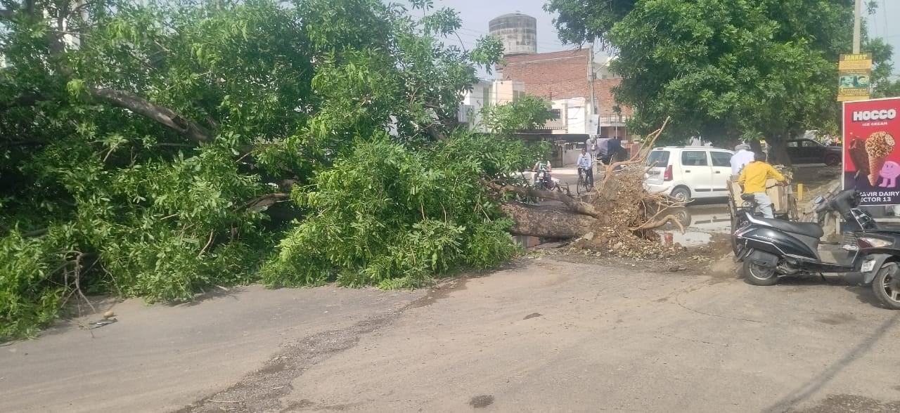कुरुक्षेत्र। गांधी नगर में एक घर में भरा बारिश का पानी। संवाद