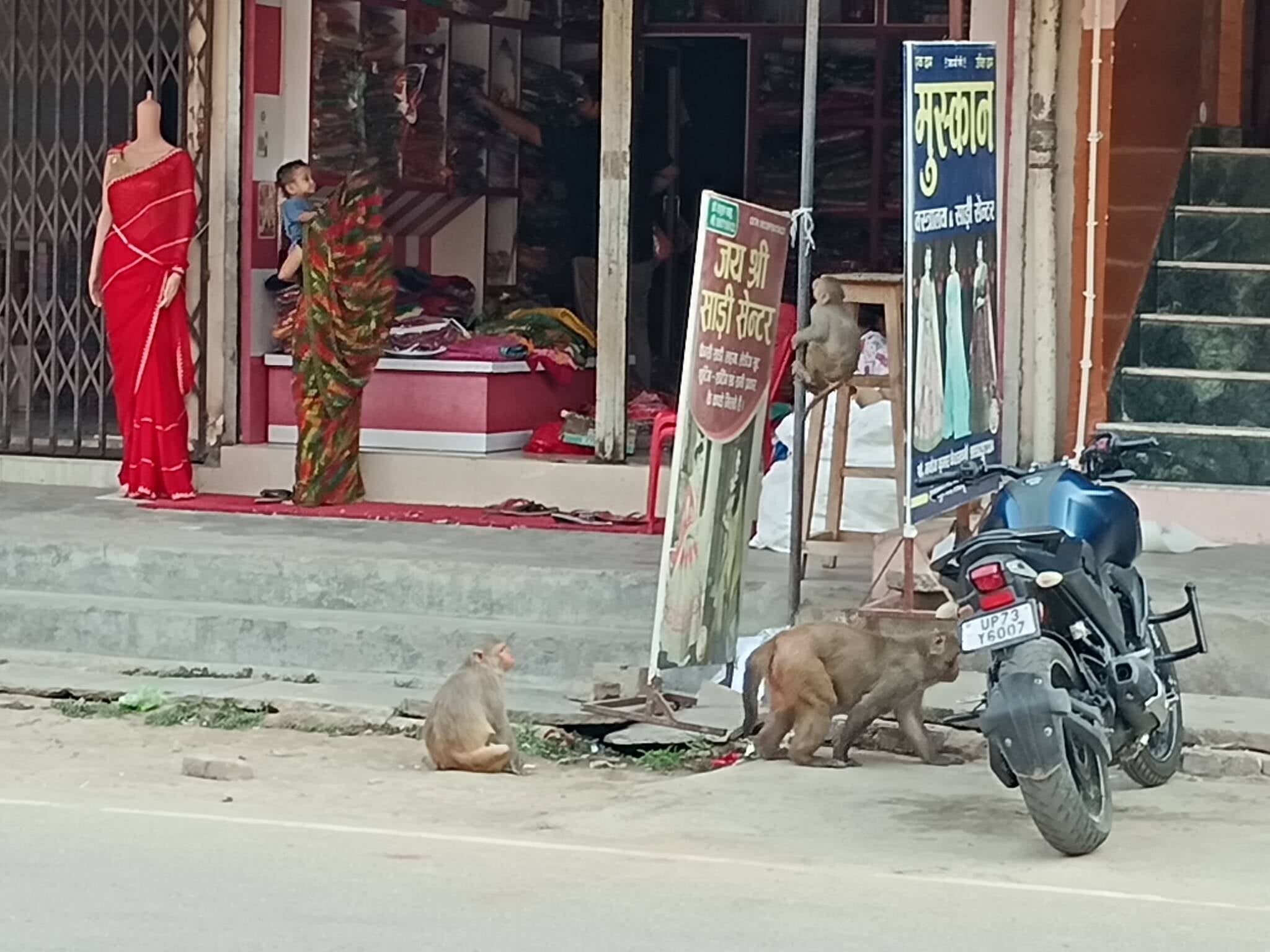 दीपक सिंह बनपुकरा दीपक सिंह बनपुकरा
