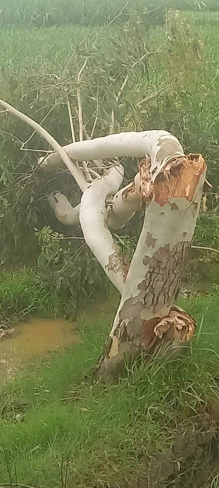 विनय शर्मा, फाइल फोटो विनय शर्मा, फाइल फोटो