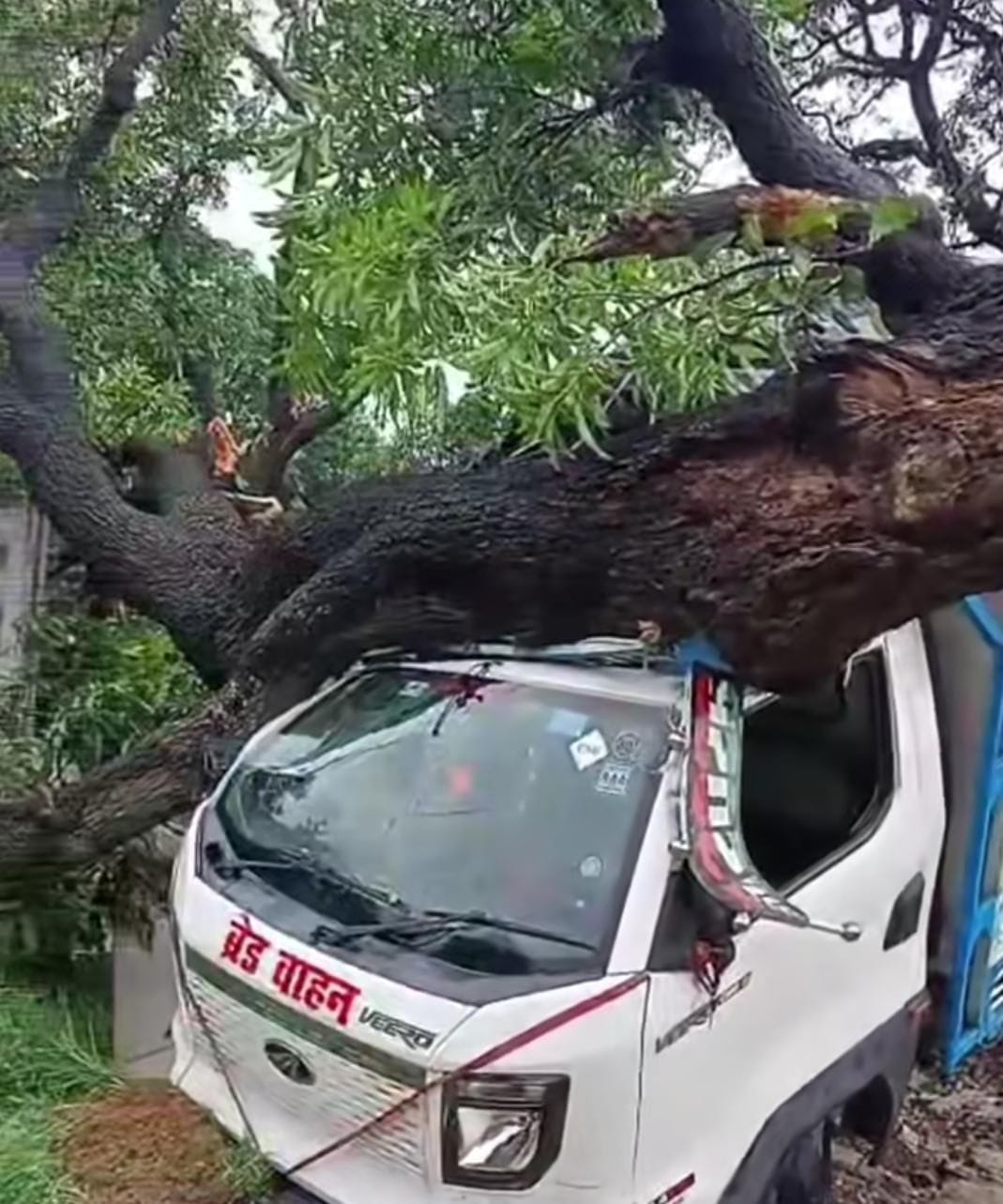 फोटो-19-कचहरी क्षेत्र में पेड़ गिरने से क्षतिग्रस्त हुए तार को सही करते कर्मी। संवाद फोटो-19-कचहरी क्षेत्र में पेड़ गिरने से क्षतिग्रस्त हुए तार को सही करते कर्मी। संवाद