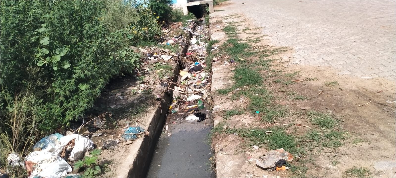 फोटो संख्या:55- पंचमुखी हनुमान मंदिर के नजदीक गंदगी से अटा नाला--संवाद फोटो संख्या:55- पंचमुखी हनुमान मंदिर के नजदीक गंदगी से अटा नाला--संवाद