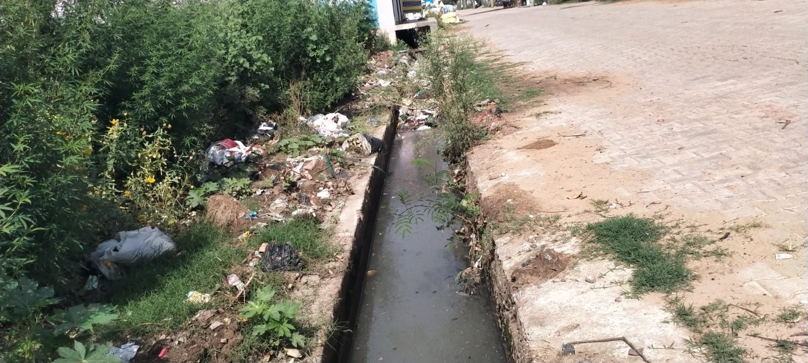 फोटो संख्या:55- पंचमुखी हनुमान मंदिर के नजदीक गंदगी से अटा नाला--संवाद फोटो संख्या:55- पंचमुखी हनुमान मंदिर के नजदीक गंदगी से अटा नाला--संवाद