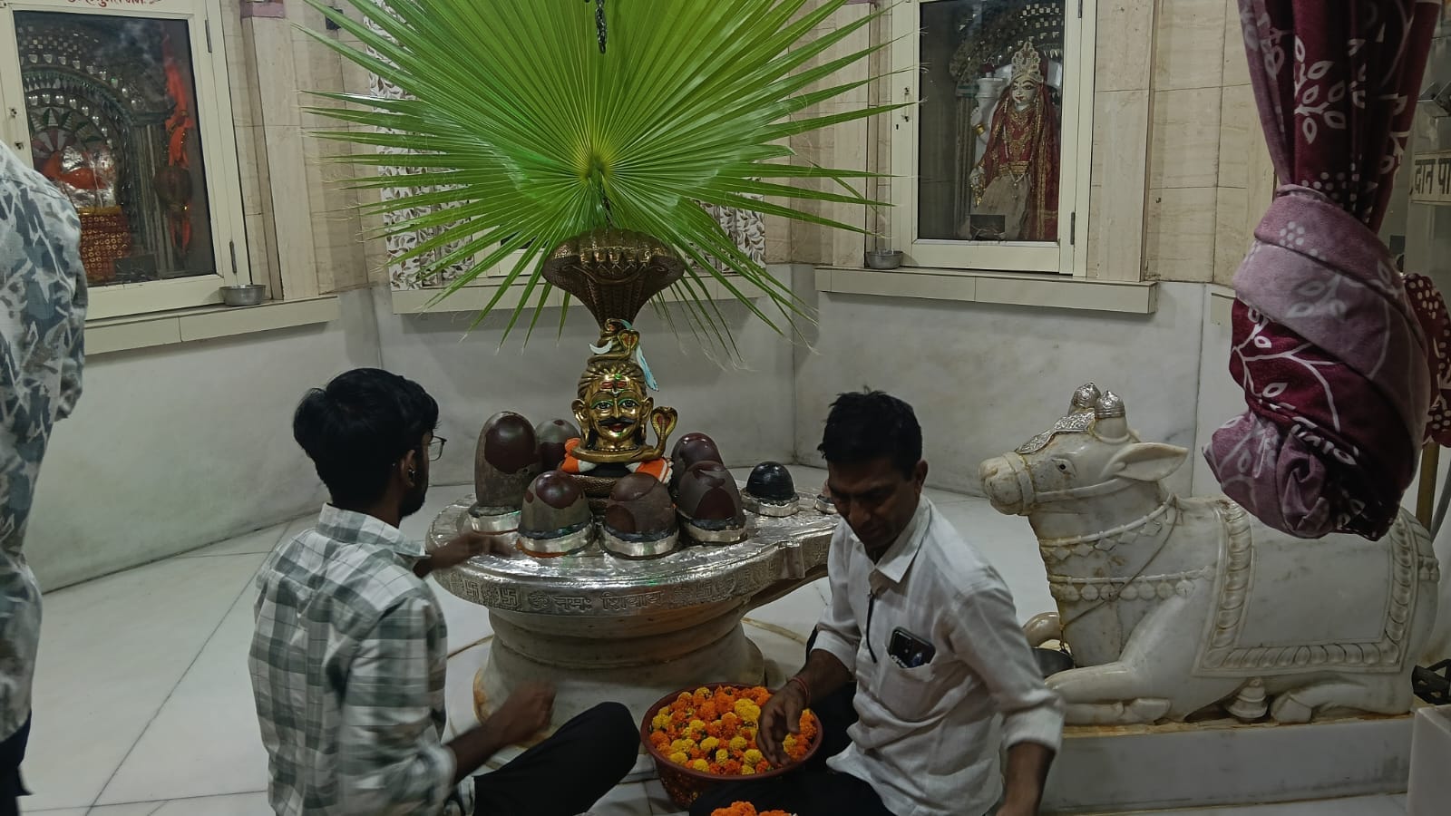 ग्यारह रूद्री मंदिर में पाम के पत्ते और फूलों से सजाए गए शिवलिंग। संवाद