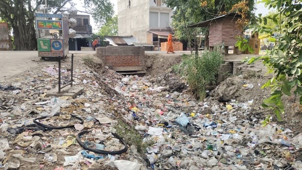 हरदू नाला में उगी झाड़ियां। संवाद हरदू नाला में उगी झाड़ियां। संवाद