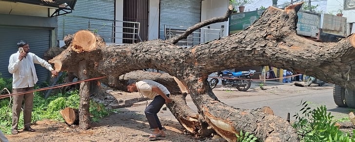 पेड़ गिरने से क्षतिग्रस्त बिजली के तार एवं आवागमन में हुई दिक्कत एवं अहिबरनपुर उपकेंद्र का फॉल् पेड़ गिरने से क्षतिग्रस्त बिजली के तार एवं आवागमन में हुई दिक्कत एवं अहिबरनपुर उपकेंद्र का फॉल्
