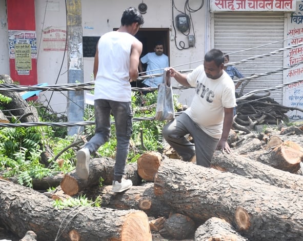पेड़ गिरने से क्षतिग्रस्त बिजली के तार एवं आवागमन में हुई दिक्कत एवं अहिबरनपुर उपकेंद्र का फॉल् पेड़ गिरने से क्षतिग्रस्त बिजली के तार एवं आवागमन में हुई दिक्कत एवं अहिबरनपुर उपकेंद्र का फॉल्