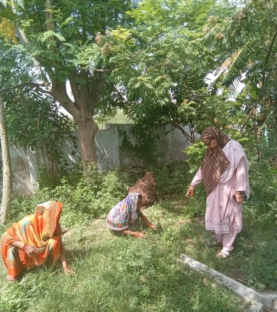 फोटो 18: सांडी के बेहथर स्कूल की छत पाथे गए उपले और उपलों का लगा ढेर। संवाद