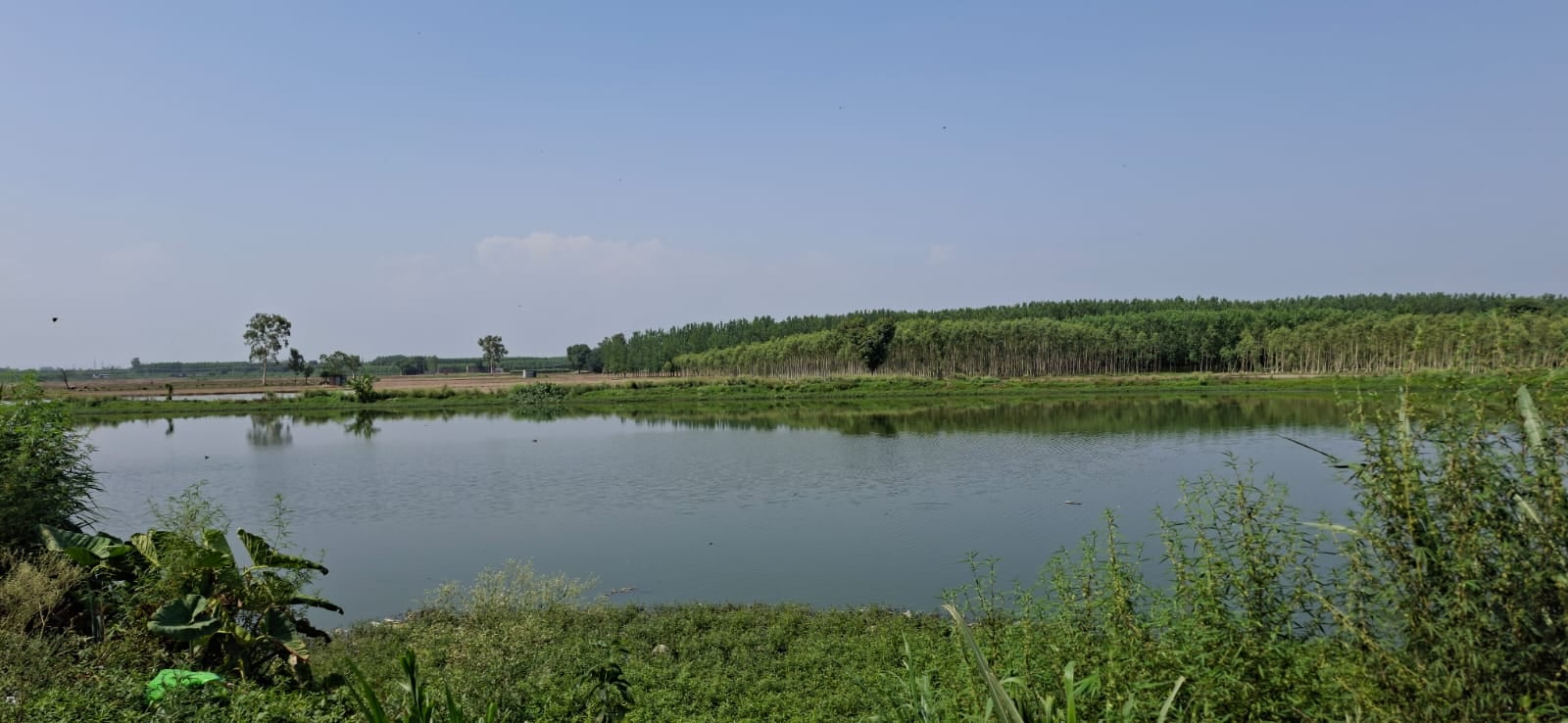 गांव खारवन का स्वागत द्वार। संवाद