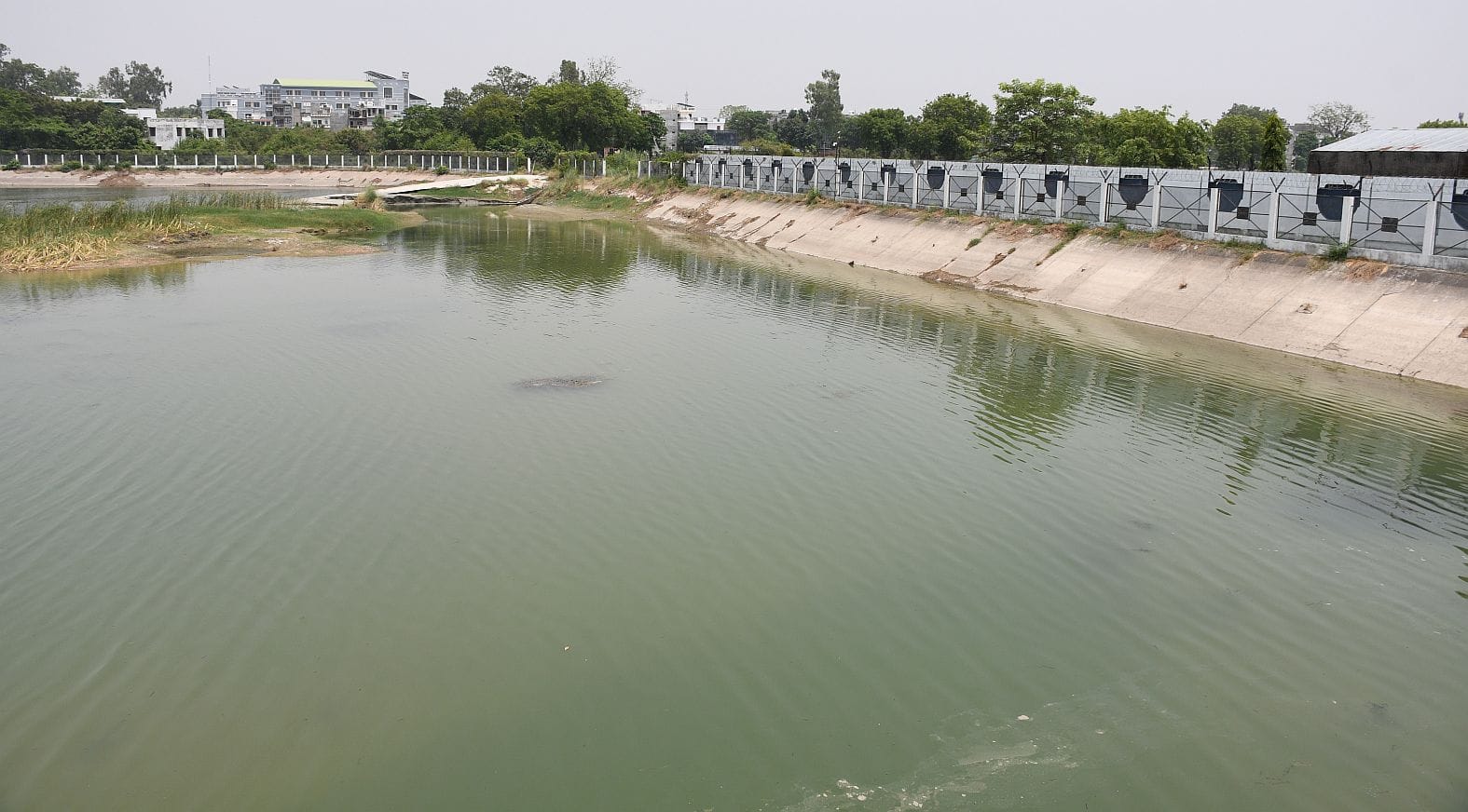 कठौता झील । कठौता झील ।