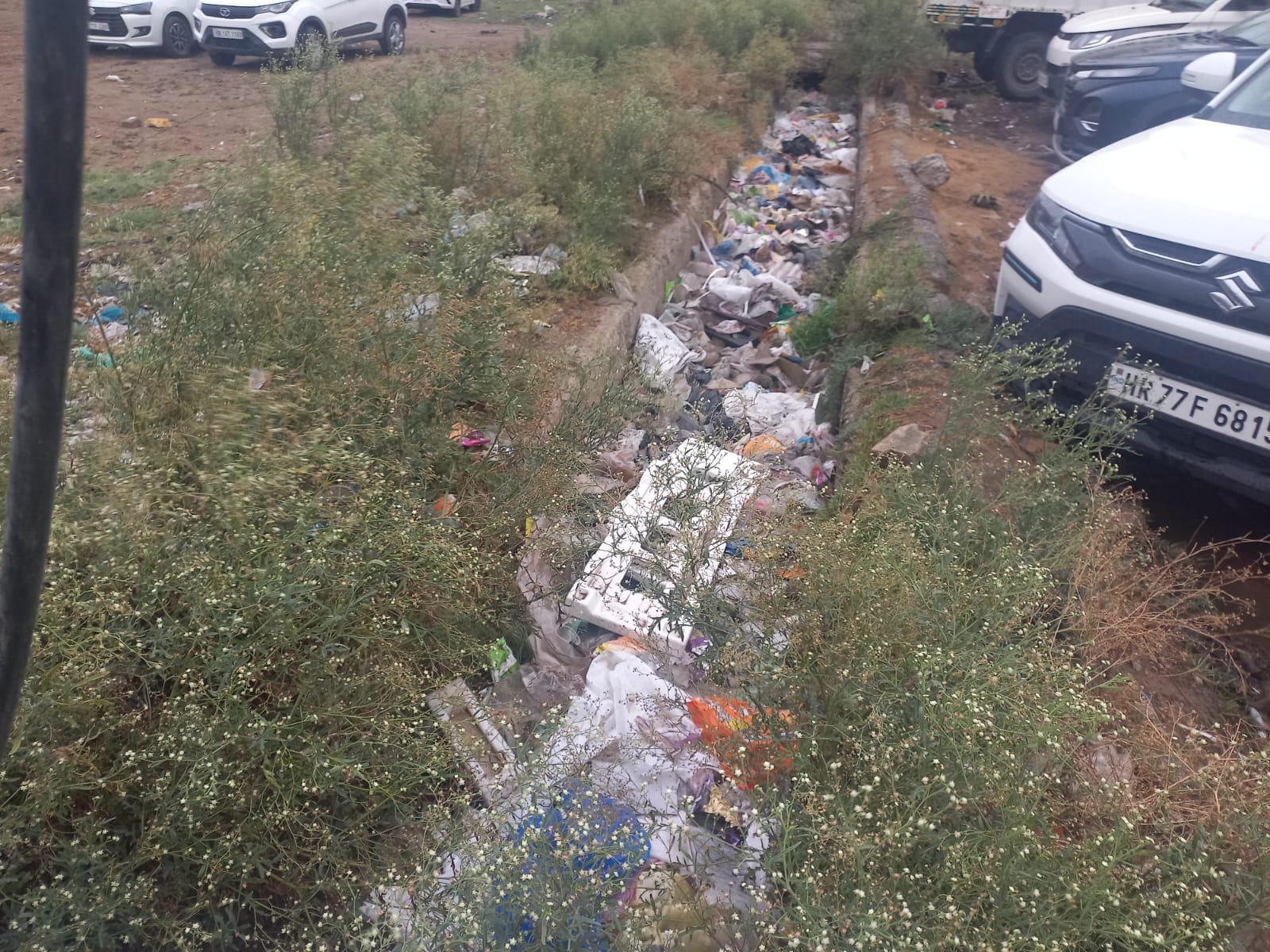 15jjrp17- छिक्कारा चौक पर गंदगी से भरे पडे़ नाले। संवाद 15jjrp17- छिक्कारा चौक पर गंदगी से भरे पडे़ नाले। संवाद