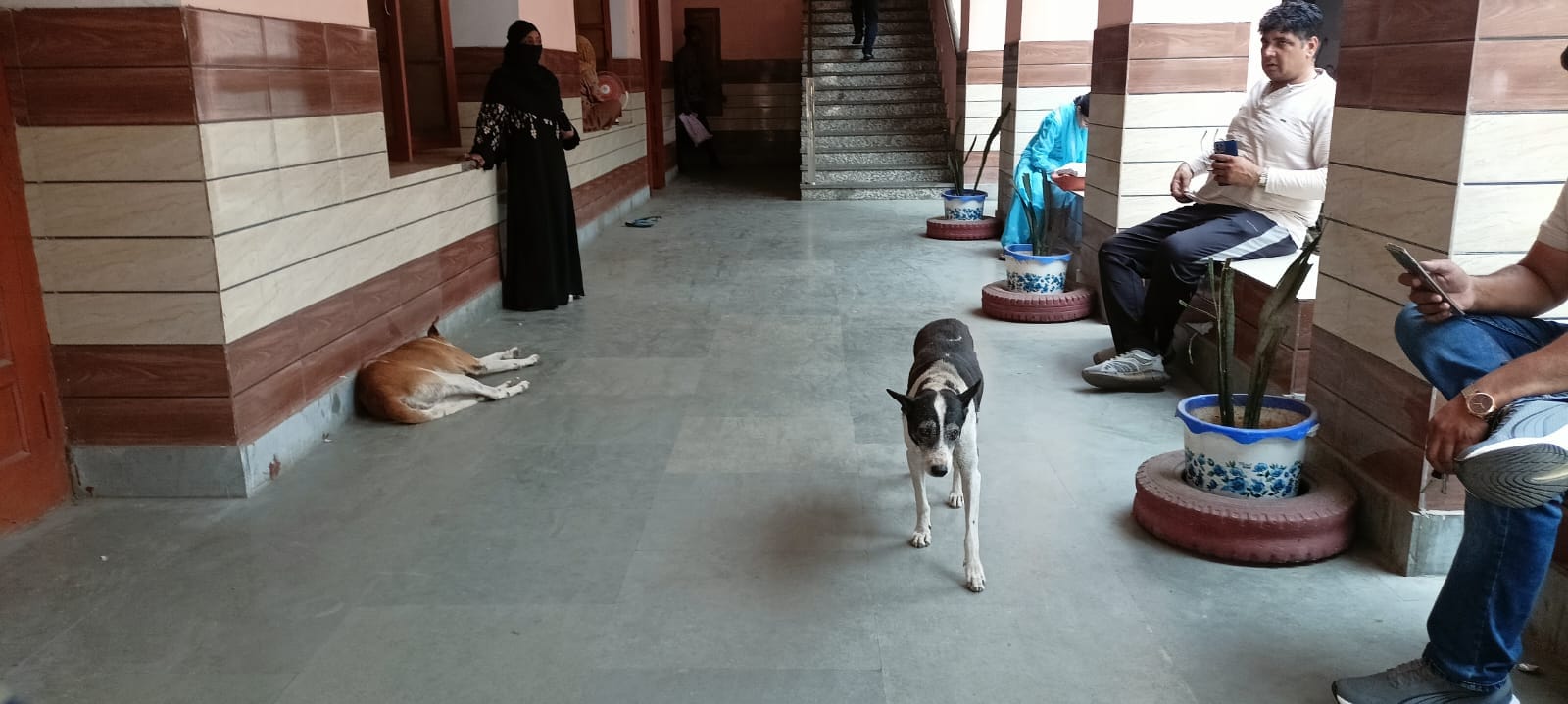 बेटी के आंसू मां का दर्द : स्वामी कल्याण देव जिला चिकित्सालय पहुंचे कौशल विकास राज्यमंत्री कपिल