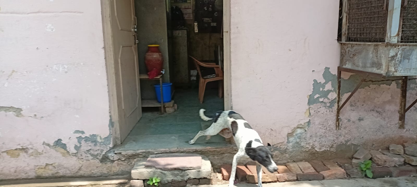 बेटी के आंसू मां का दर्द : स्वामी कल्याण देव जिला चिकित्सालय पहुंचे कौशल विकास राज्यमंत्री कपिल