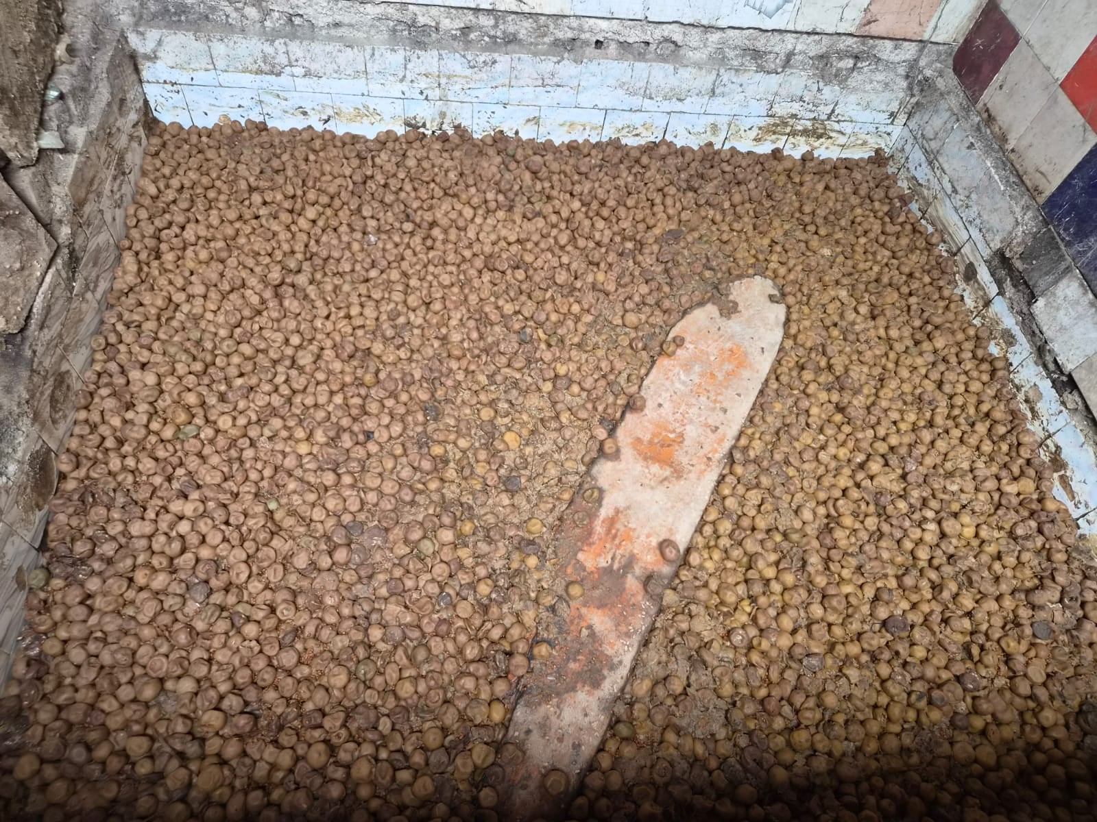खोड़ा में बनता आचार। संवाद खोड़ा में बनता आचार। संवाद
