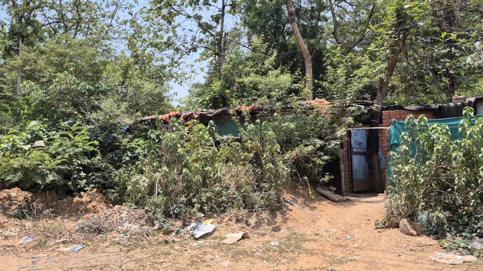 korba korba