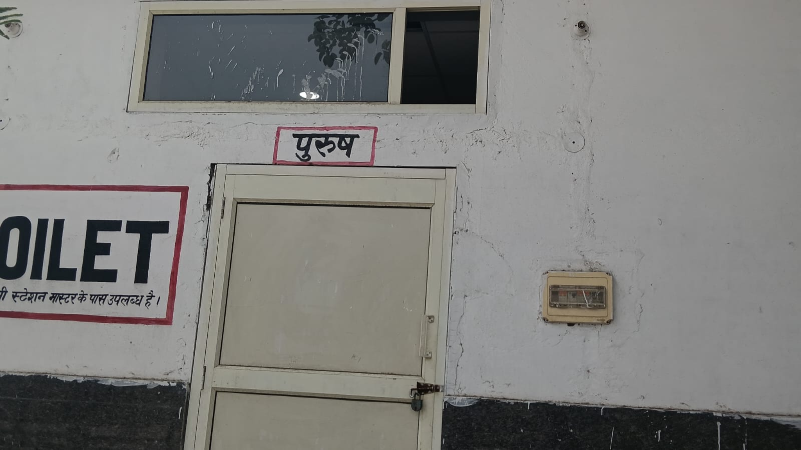 स्टेशन परिसर में मौजूद कुत्ते। संवाद
