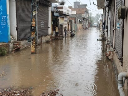 अलग अलग वार्डों में जलभराव। अलग अलग वार्डों में जलभराव।