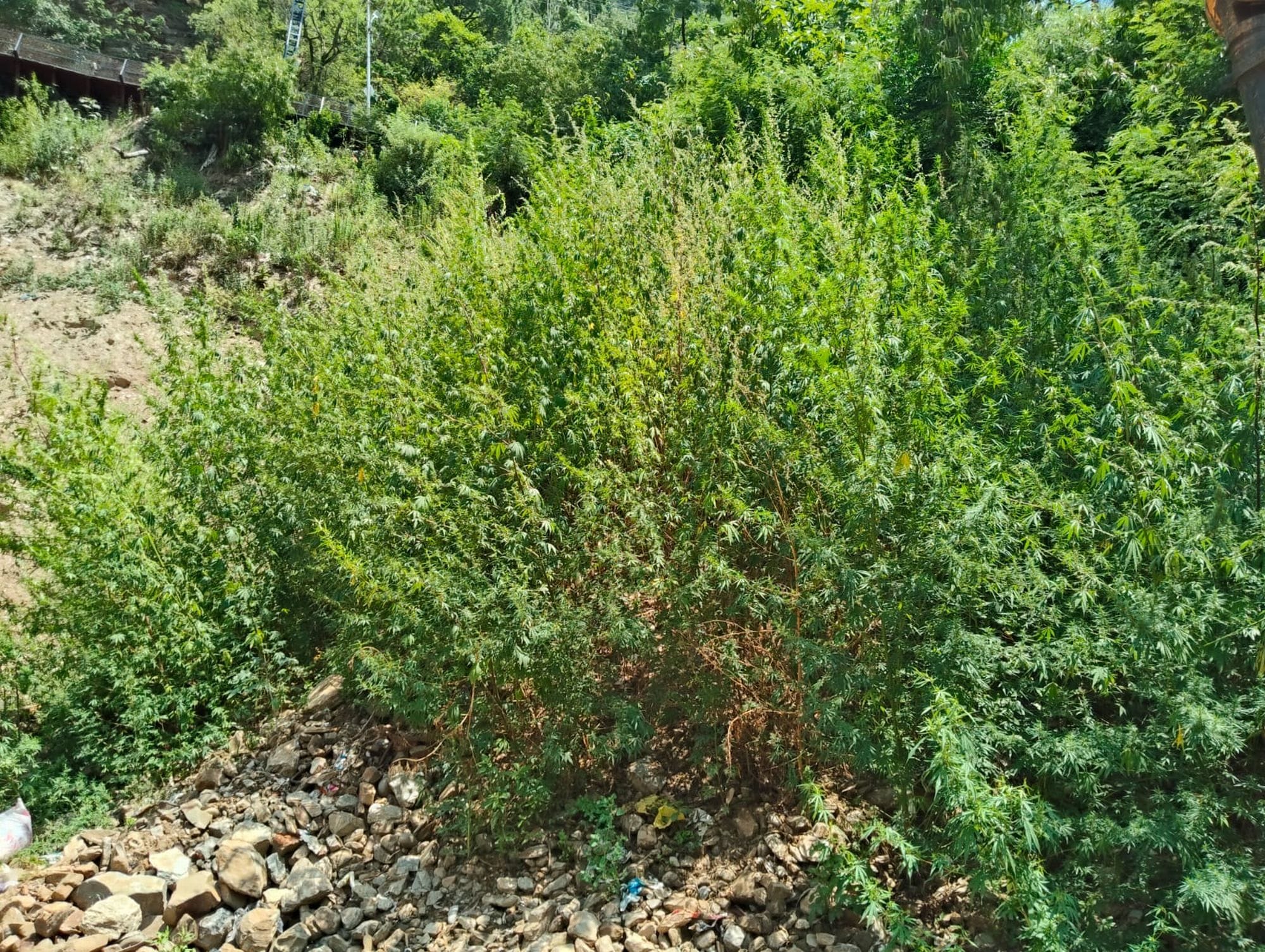चंबा मिनी सचिवालय के निर्माण स्थल पर जंग खा रहा सरिया।संवाद