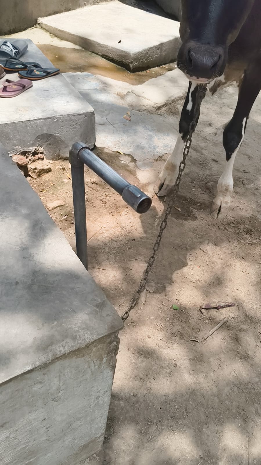 फोटो-05-गांव के कुआं से पानी खींचती महिला।संवाद फोटो-05-गांव के कुआं से पानी खींचती महिला।संवाद