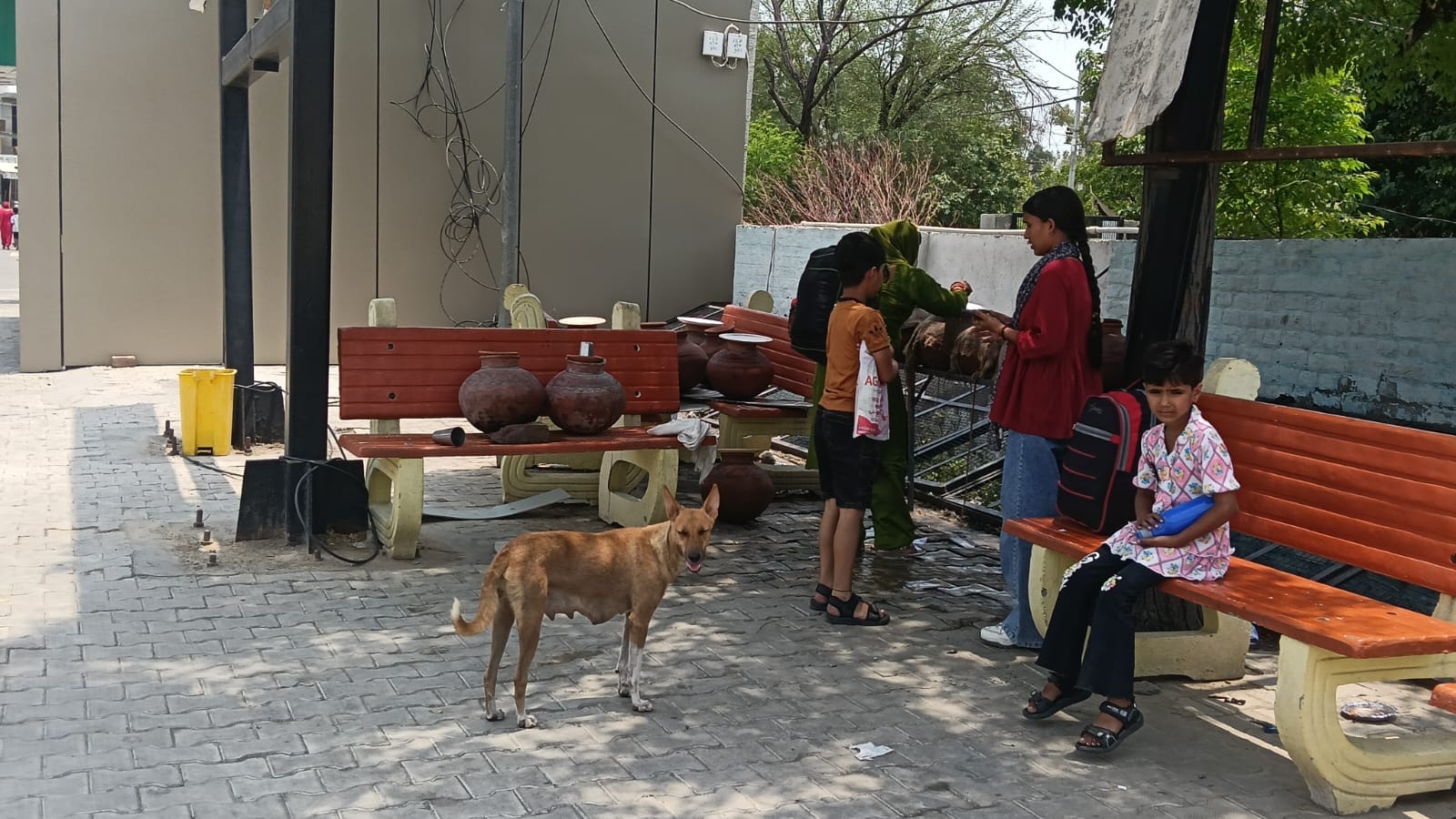 नागरिक अस्पताल में उपचार के लिए आए मरीजों के पास खड़ा लावारिस कुत्ता। संवाद नागरिक अस्पताल में उपचार के लिए आए मरीजों के पास खड़ा लावारिस कुत्ता। संवाद
