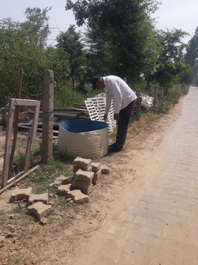 टैंक में पड़े पानी में डेंगू के लारवा की जांच करते हुए स्वास्थ्य कर्मचारी। स्वयं टैंक में पड़े पानी में डेंगू के लारवा की जांच करते हुए स्वास्थ्य कर्मचारी। स्वयं