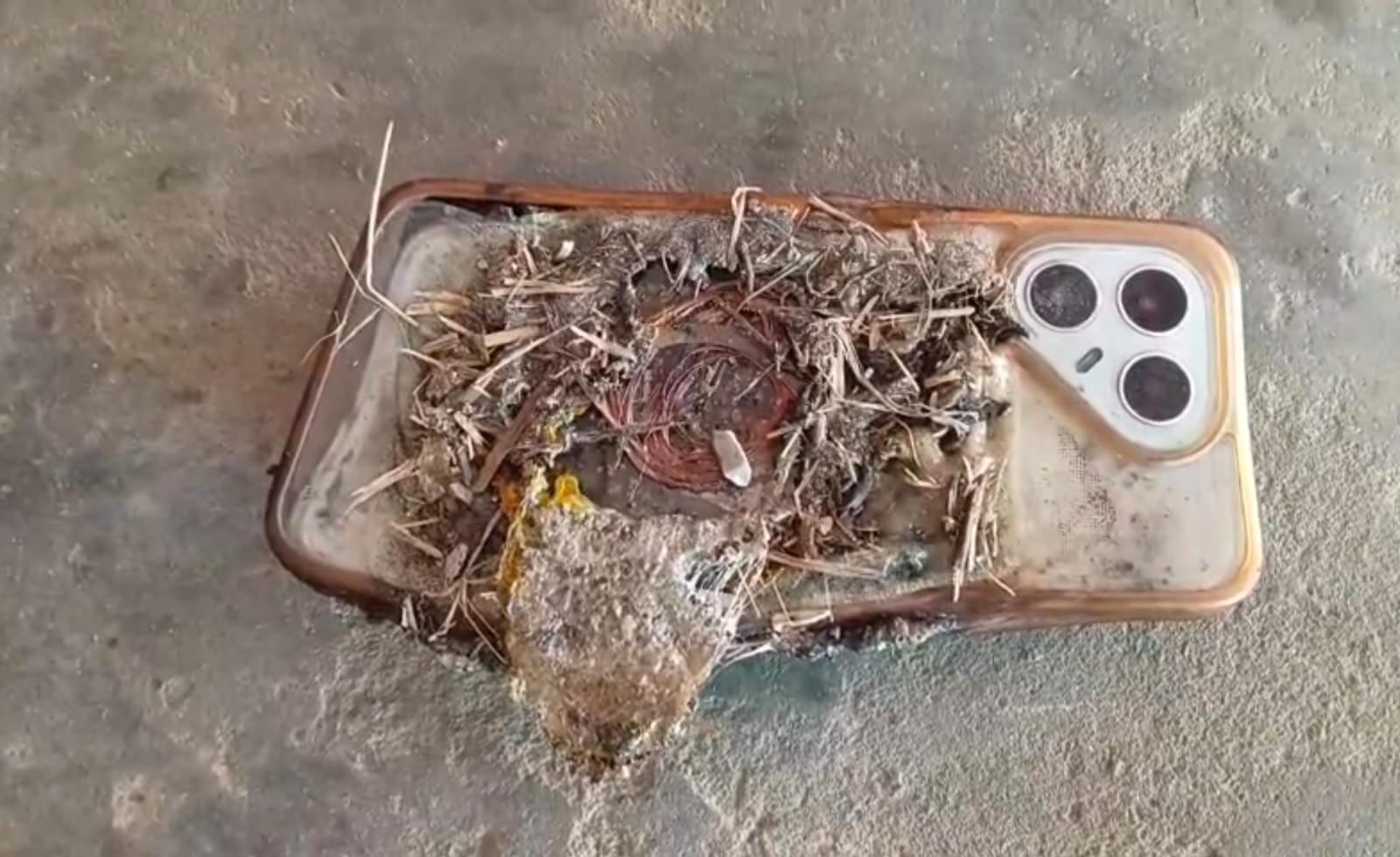 घायल तस्लीम। संवाद घायल तस्लीम। संवाद