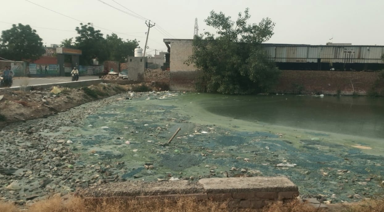 जींद मार्ग पर स्थित सड़ा हुआ तालाब का पानी।