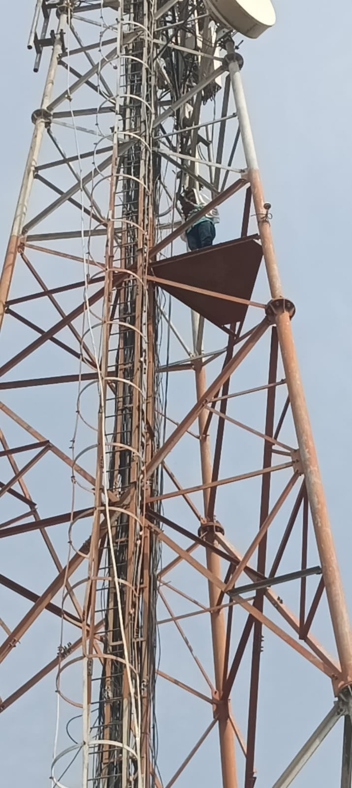 किसान के टावर से उतरने के बाद खेत में कराया जा रहा काम। संवाद किसान के टावर से उतरने के बाद खेत में कराया जा रहा काम। संवाद