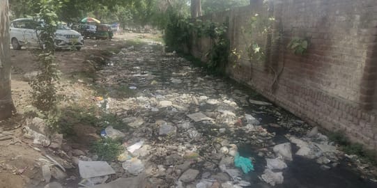 फरीदाबाद एसी नगर में सफाई नही होने पर कूड़े से भरा नाला । संवाद फरीदाबाद एसी नगर में सफाई नही होने पर कूड़े से भरा नाला । संवाद